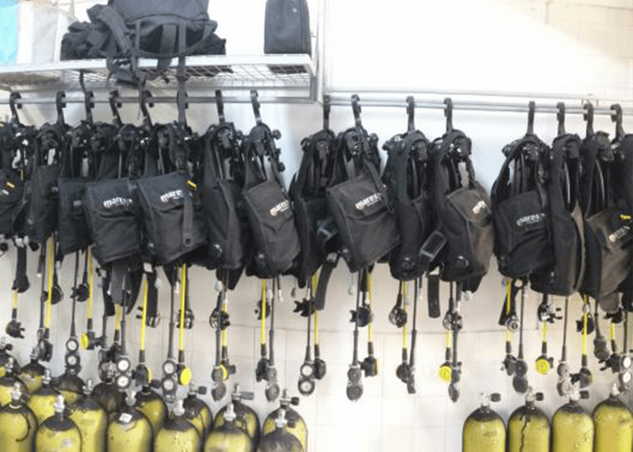 The Best Rental and Demo Scuba Gear Anywhere Bluewater Divers