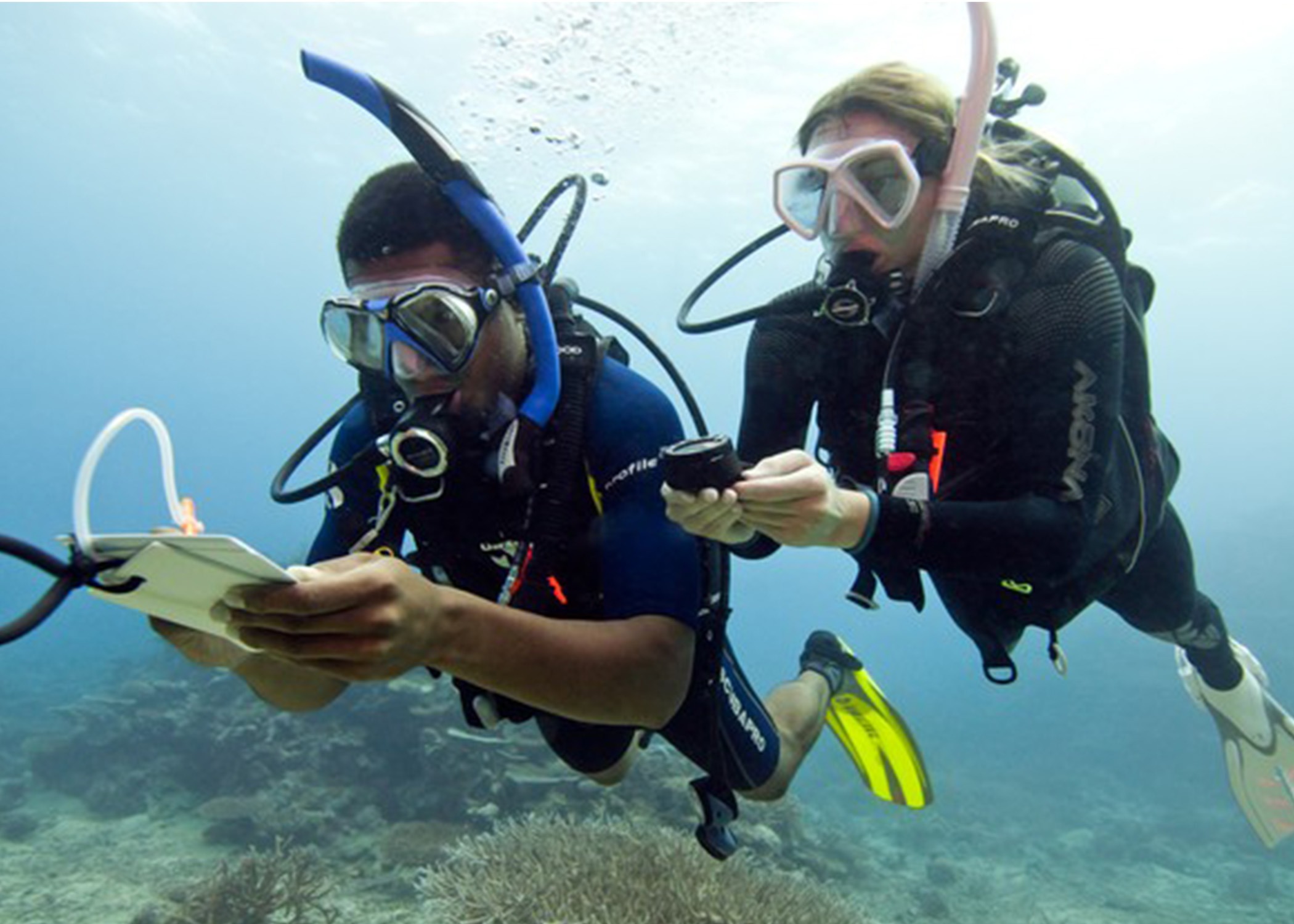 PADI Underwater Navigator