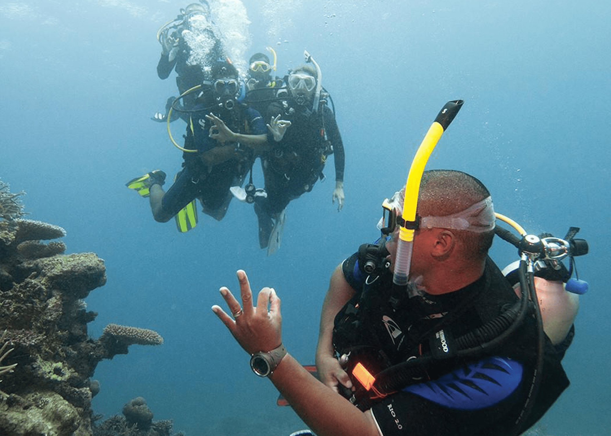 PADI Professional