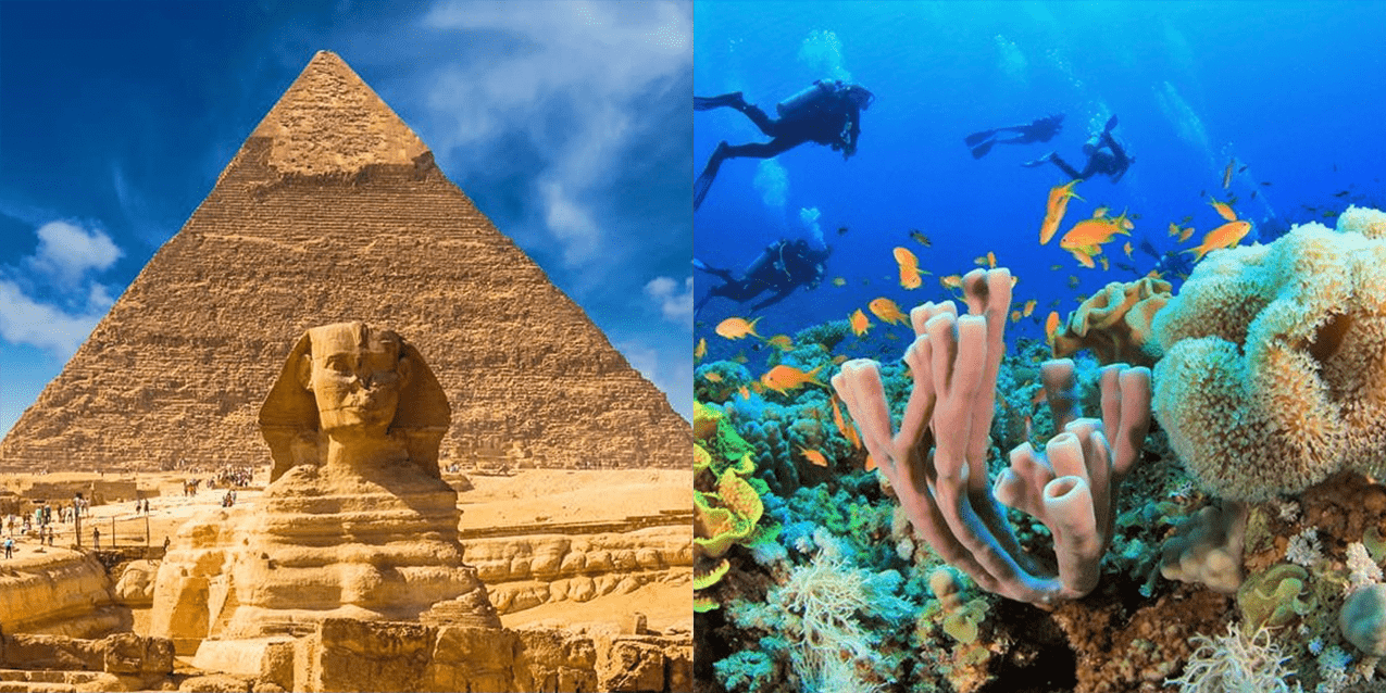 Egypt Red Sea Liveaboard