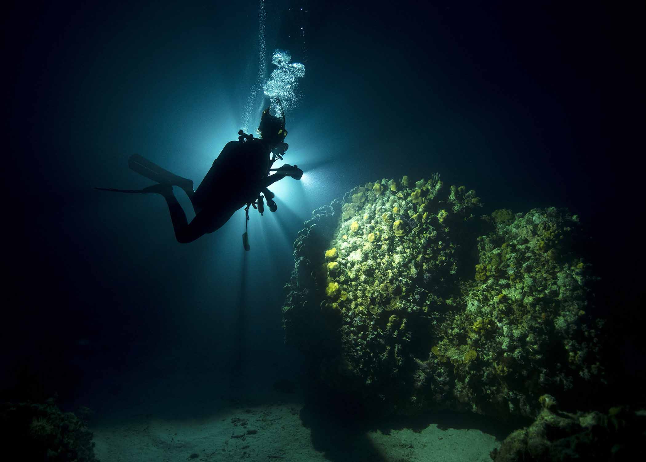 Bluewater Divers PADI Oklahoma Scuba ReActivate Refresher Advanced Open Water Best Certification License